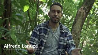 El mundo de los insectos
Alfredo Lanuza (CRUC)—Los insectos ocupan aproximadamente el 75% de la vida que existe en el planeta tierra, los insectos son un grupo muy diverso y aún se descubren cada año muchas más especies. El mundo de los insectos