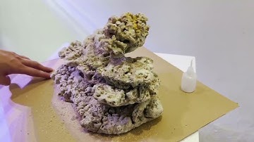 Tập 1 - Setup bể chơi cá cảnh biển và san hô với bộ hồ RINANO AIO 45 PRO