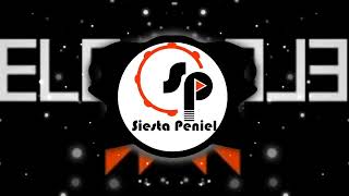 ELECTRO MIX 2023 DJ SIESTA PENIEL