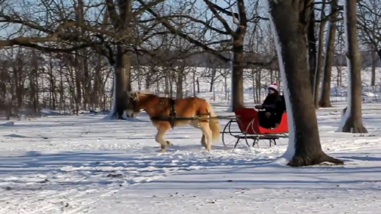 Red Portland Cutter - $500