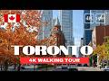 4K Toronto Autumn Walking Tour Enjoy Canada S Fall Foliage On A Magical Afternoon Walk 