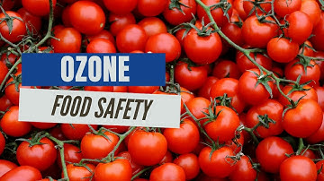 How Ozone Ensures Food Safety 🌱| Ozcon Environmental