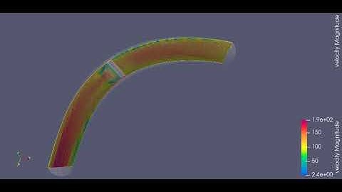 Velocity Animation of Transient State