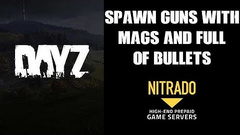 How To Edit & Spawn Guns With Magazines & Mags Full Of Bullets DAYZ Nitrado Xbox PS4 Private Server