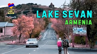 Lake Sevan, Armenia's Blue Gem 🇦🇲 Taste Sea buckthorns @ Body of water in Armenia [Armenia 4K]