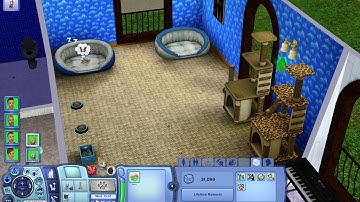 How to get extra LT points in Sims 3.