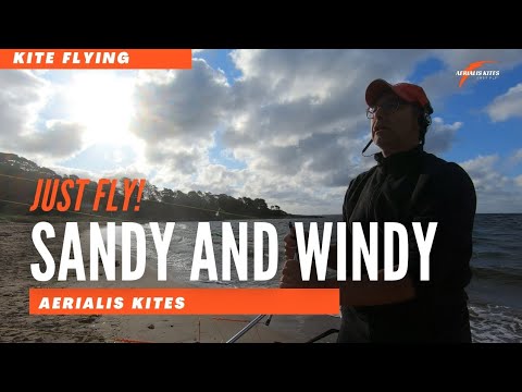 Sandy and Windy