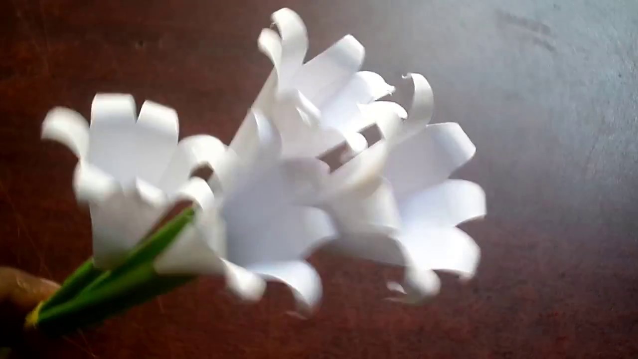 How to Make Water Lily Paper Flower, White Flower