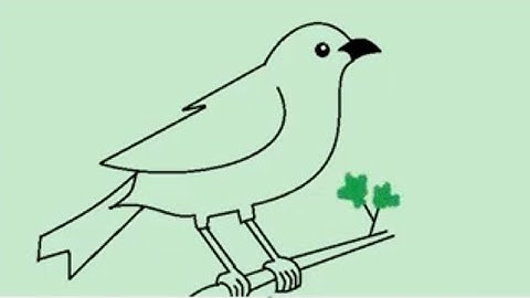 MS PAINT | BIRD DRAWING IN MS PAINT  | TECH DEV