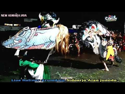 perang celeng jaranan new asmara jaya live kuliner arumdalu Sidoarjo
