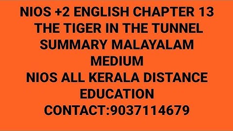 NIOS +2 ENGLISH CHAPTER 13.THE TIGER IN THE TUNNEL