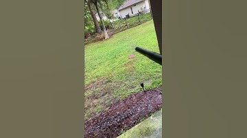 Gtek 160r w/freak kit