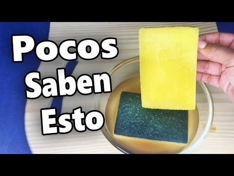 TRUCO para Renovar