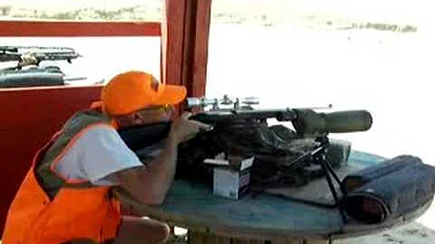 the Ruger 10/22