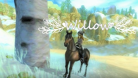 [SSO MEP COMPLETED] Willow