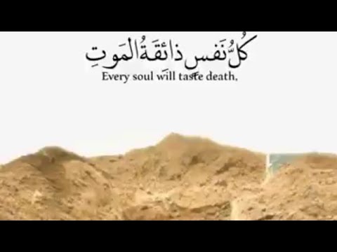 قرآن كريم بصوت احمد العجمي حالات واتس اب دينية مقاطع دينية قصيرة