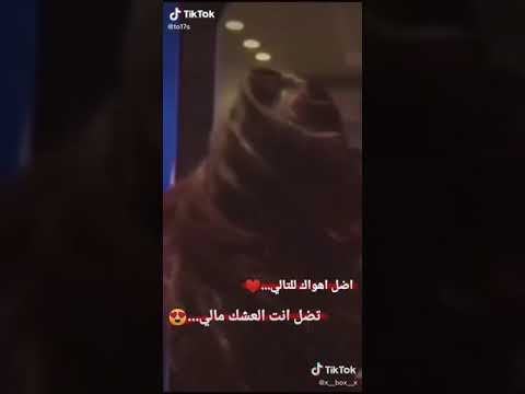 اضل اهواك للتالي تضل انته العشگ مالي حالات واتس اب بنات