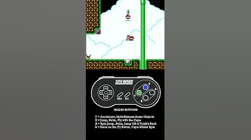 Assisted Double Shell Jump | Lurn 2 Shell | Wolfguy423 | #tips #kaizomario