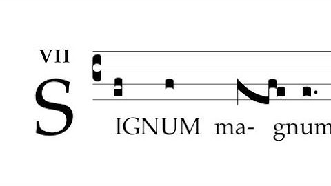 Introitus: Signum magnum