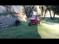 Craftsman lawn tractor wheelie!