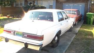 19 degree Plymouth Gran Fury cold start 19 degree Plymouth Gran Fury cold start