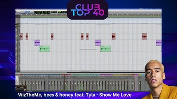 Thumbnail of WizTheMc, bees & honey feat. Tyla - Show Me Love (Hit Intro by LFM Audio)