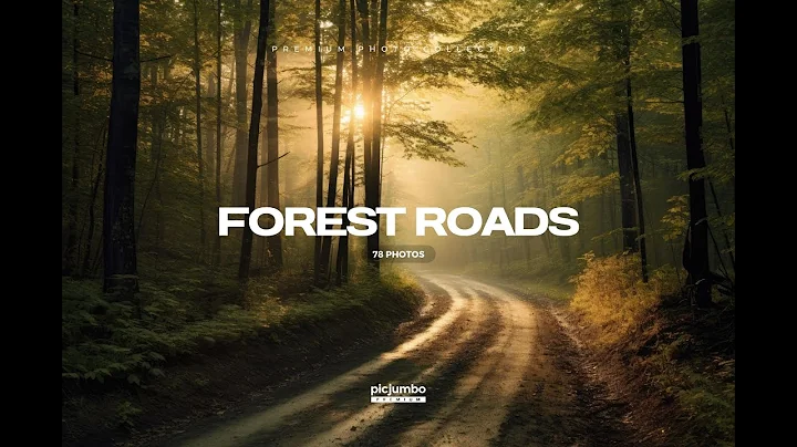 Forest Roads • Stock Photos