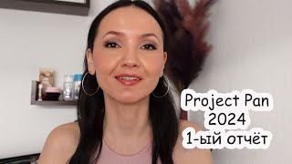 1-ый отчёт. Project Pan 2024.