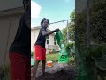 Fertilizing my garden