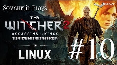 Sovahkiin Plays on Linux: Witcher 2 - Episode 10