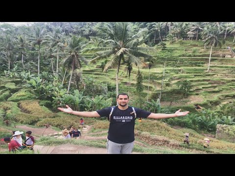 فيديو: إلى أين أذهب في بالي