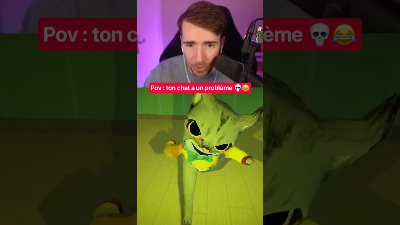 POV : TON CHAT A UN PROBLÈME 💀😂