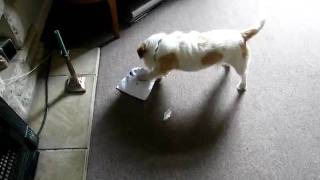 DSCF2336.AVI