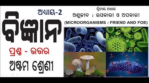 Class 8 Science chapter 2 Question and Answer (Anujiba: Upakari O Apakari)