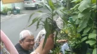 BERSAMA KOMUNITAS SUKA TANAMAN SOLO RAYA