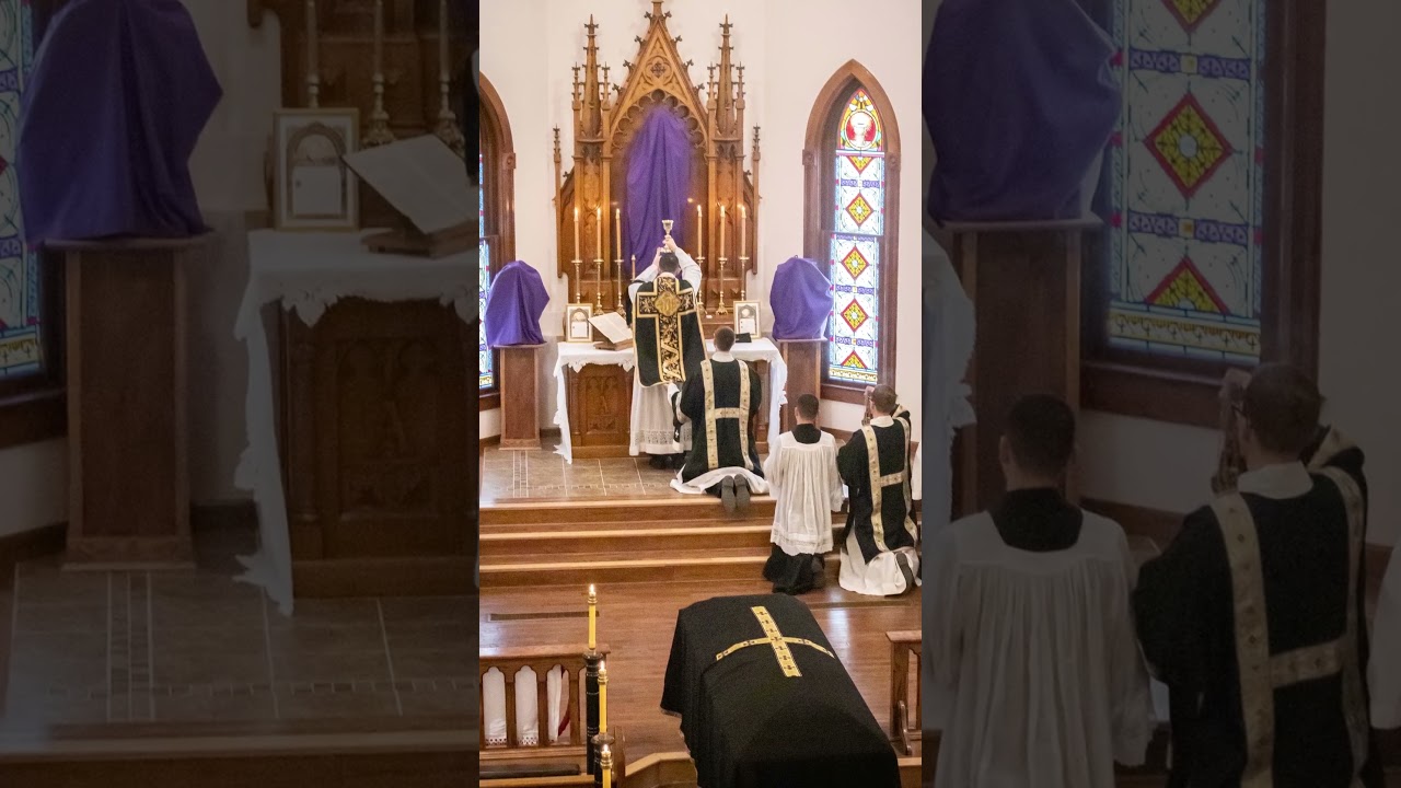 Mater Dei Seminary: Requiem #materdeiseminary #inparadisum #newrecording #requiem