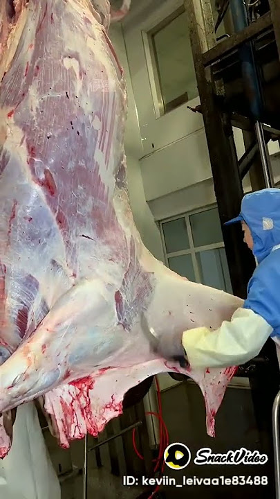 Menyembelih Kambing: Cara Menguliti Kambing