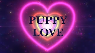 Najpiękniejsze Piosenki o Miłości - Puppy Love
