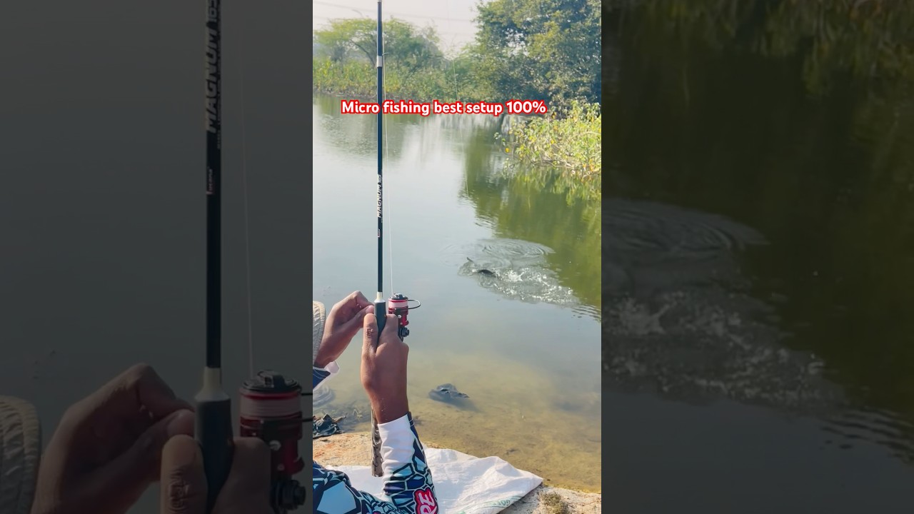 Micro fishing best setup 100% | #shorts #fishing #fish #fishingvideo #tilapia #fishingtechniques