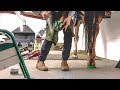 Horse Shoeing the Show Jumper with Lameness