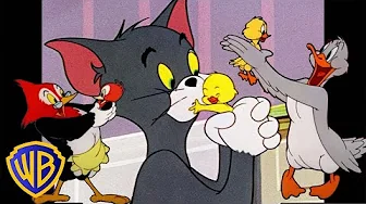 Tiermütter! 🦆🐔 | Tom und Jerry auf Deutsch 🇩🇪 | @WBKidsDeutschland