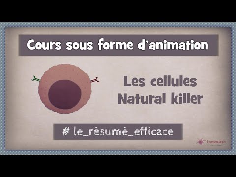 Vidéo: Natural Killer Cells - qu'est-ce que c'est?