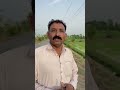Raat ko Alto gari ulat gai!