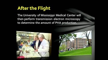 SSEP 2014 – Brookhaven, MS