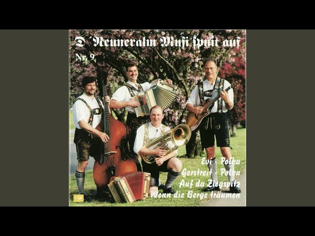 D Neuneralm Musi - Auf da Ziegspitz