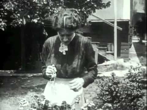 The Blot (Lois Weber Productions US 1921) (p/d/w)