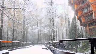 Nieve en Huilo Huilo temporada invierno 2014 by Rogelio F.L. 6,243 views 9 years ago 3 minutes, 22 seconds