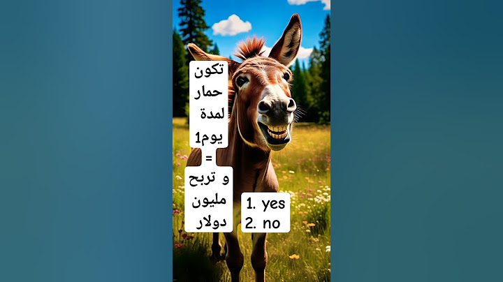 مليون $   في يوم واحد
