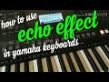 YAMAHA PSR e463 "adding echo to voice" tutorial