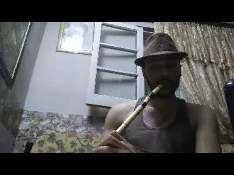 ناى اهو ده اللي صار لسيد درويش